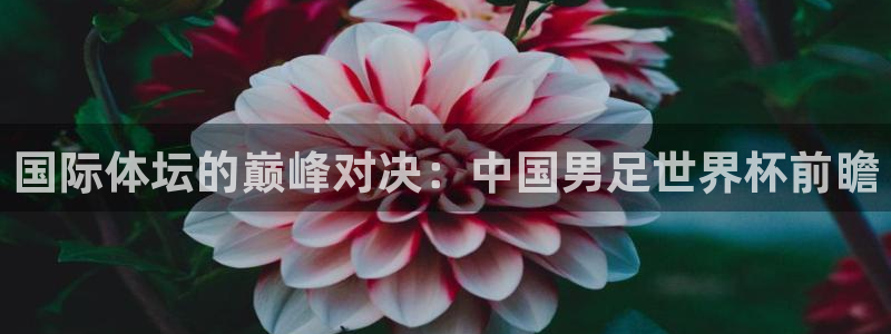 世界杯决赛预测：国际体坛的巅峰对决：中国男足世界杯前瞻