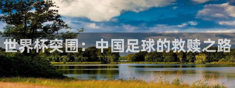 世界杯欧洲预选赛：世界杯突围：中国足球的救赎之路