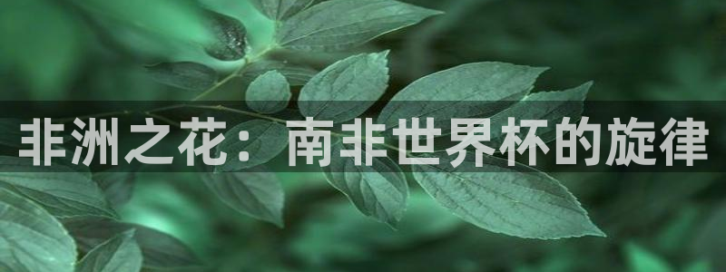 2026世界杯亚洲区预选赛赛程：非洲之花：南非世界杯的旋律