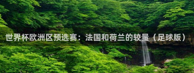2026世界杯德国队阵容：世界杯欧洲区预选赛：法国和荷兰的较量（足球版）
