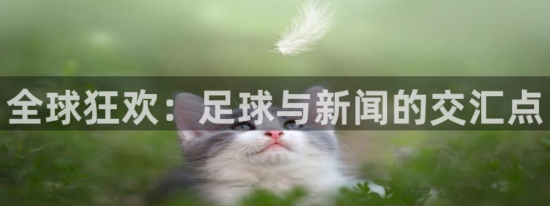 2026世界杯亚洲区预选赛赛程：全球狂欢：足球与新闻的交汇点