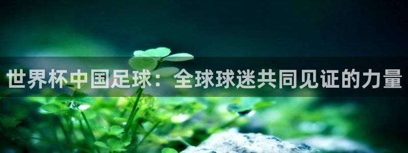 世界杯2026赛程时间表格：世界杯中国足球：全球球迷共同见证的力量