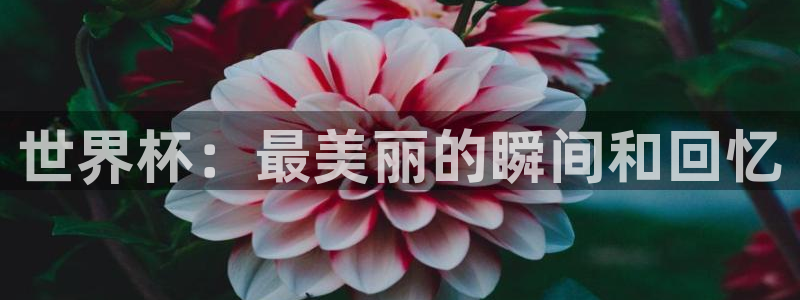 世界杯足球2026：世界杯：最美丽的瞬间和回忆