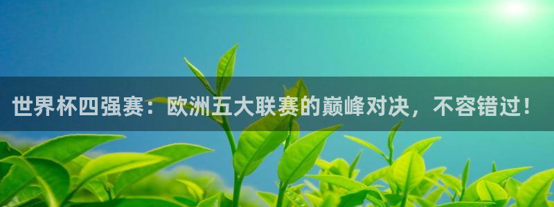 美洲杯直播：世界杯四强赛：欧洲五大联赛的巅峰对决，不容错过！