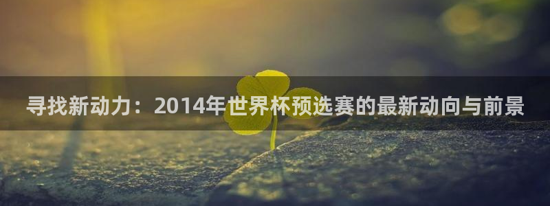 世界杯亚洲区预选赛赛程：寻找新动力：2014年世界杯预选赛的最新动向与前景