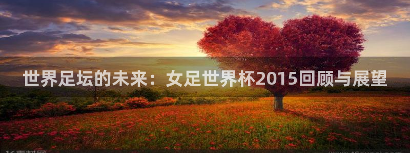 世界杯欧洲区世预赛赛程：世界足坛的未来：女足世界杯2015回顾与展望