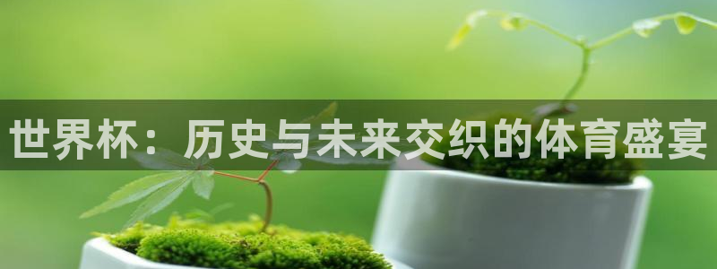 世界杯预选赛排名：世界杯：历史与未来交织的体育盛宴